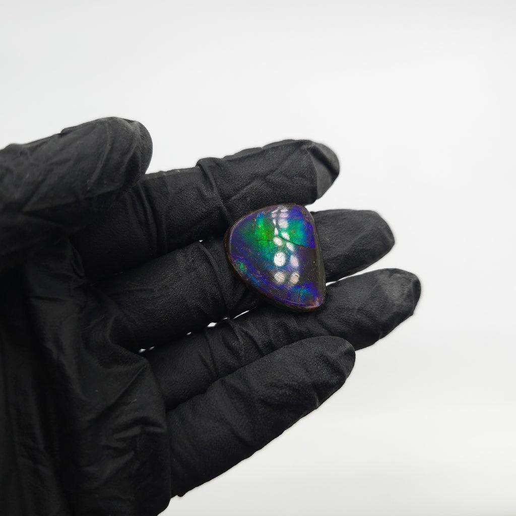 COATED AMMOLITE FREEFORM