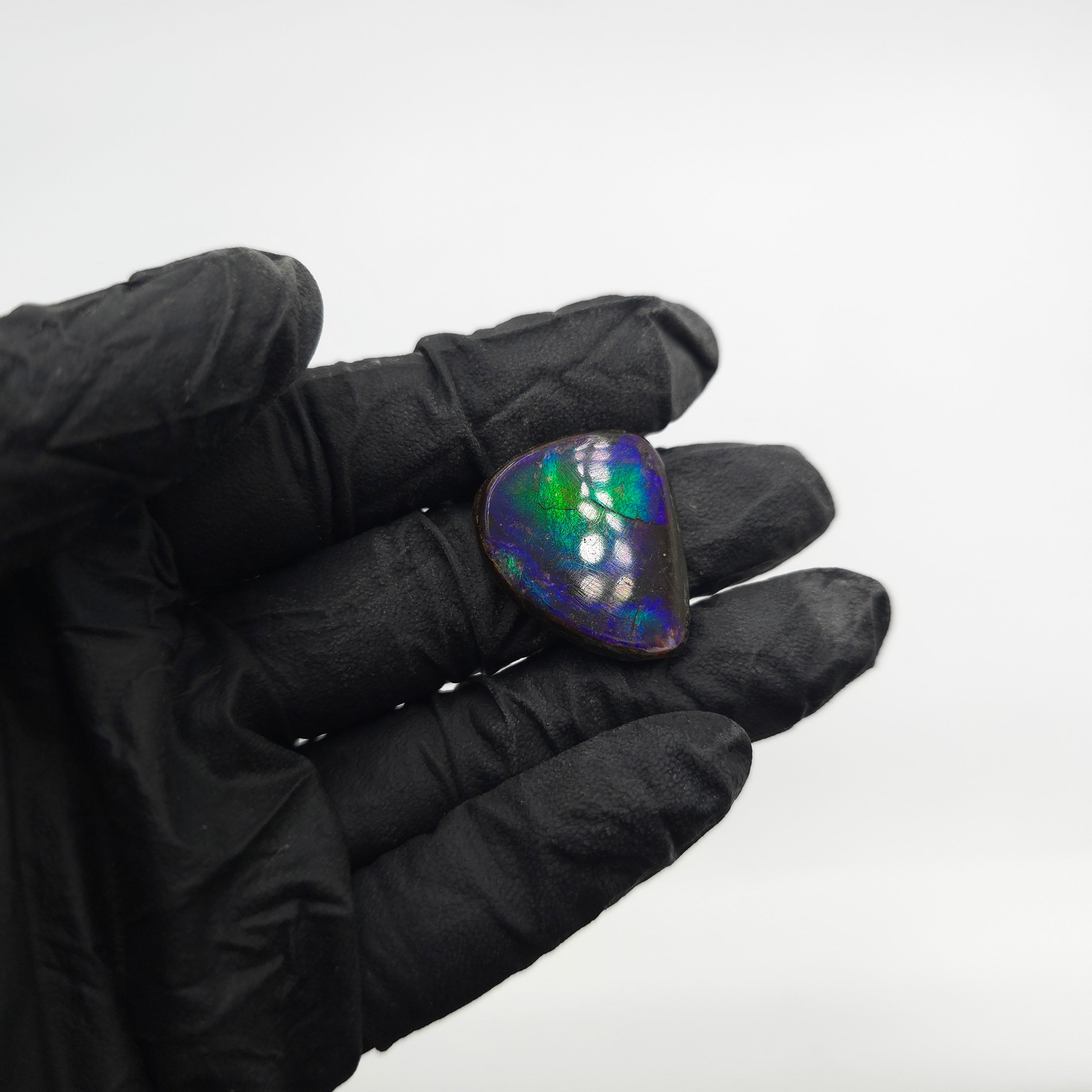 COATED AMMOLITE FREEFORM