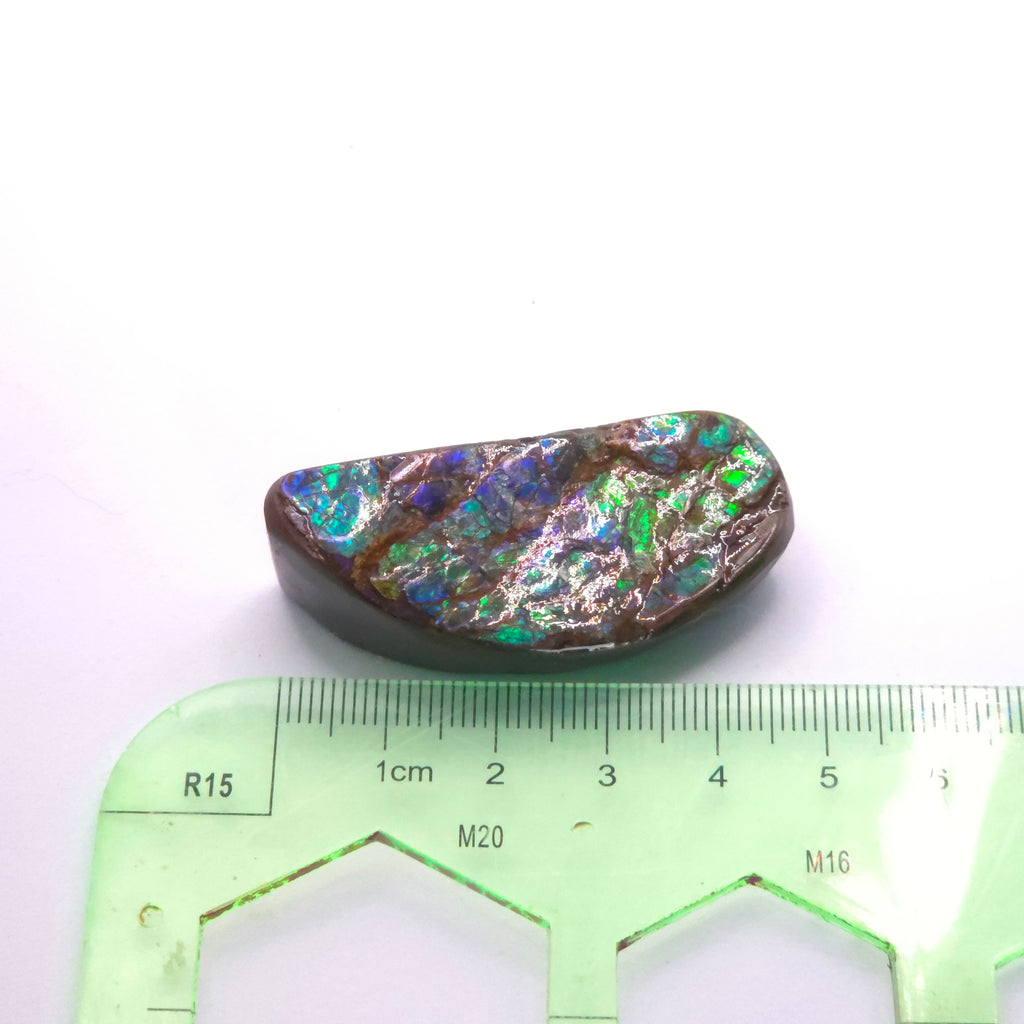 Freeform  Ammolite Gemstone