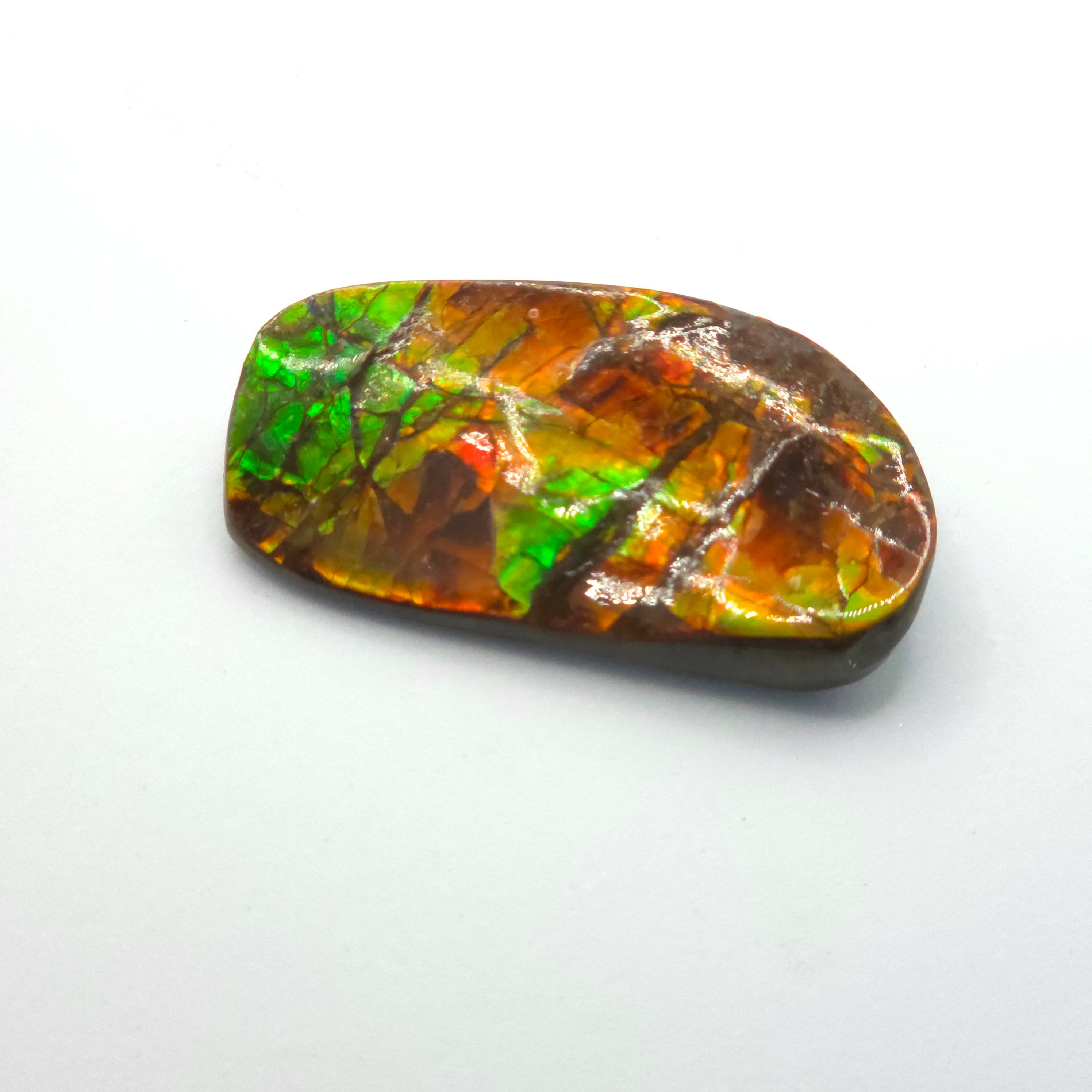 Freeform  Ammolite Gemstone