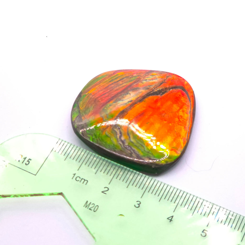 Freeform  Ammolite Gemstone