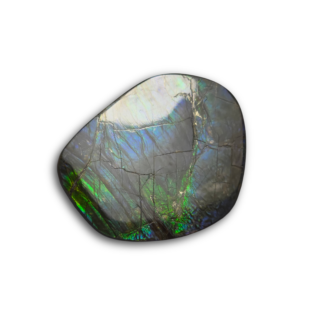 NATURAL AMMOLITE FREEFORM