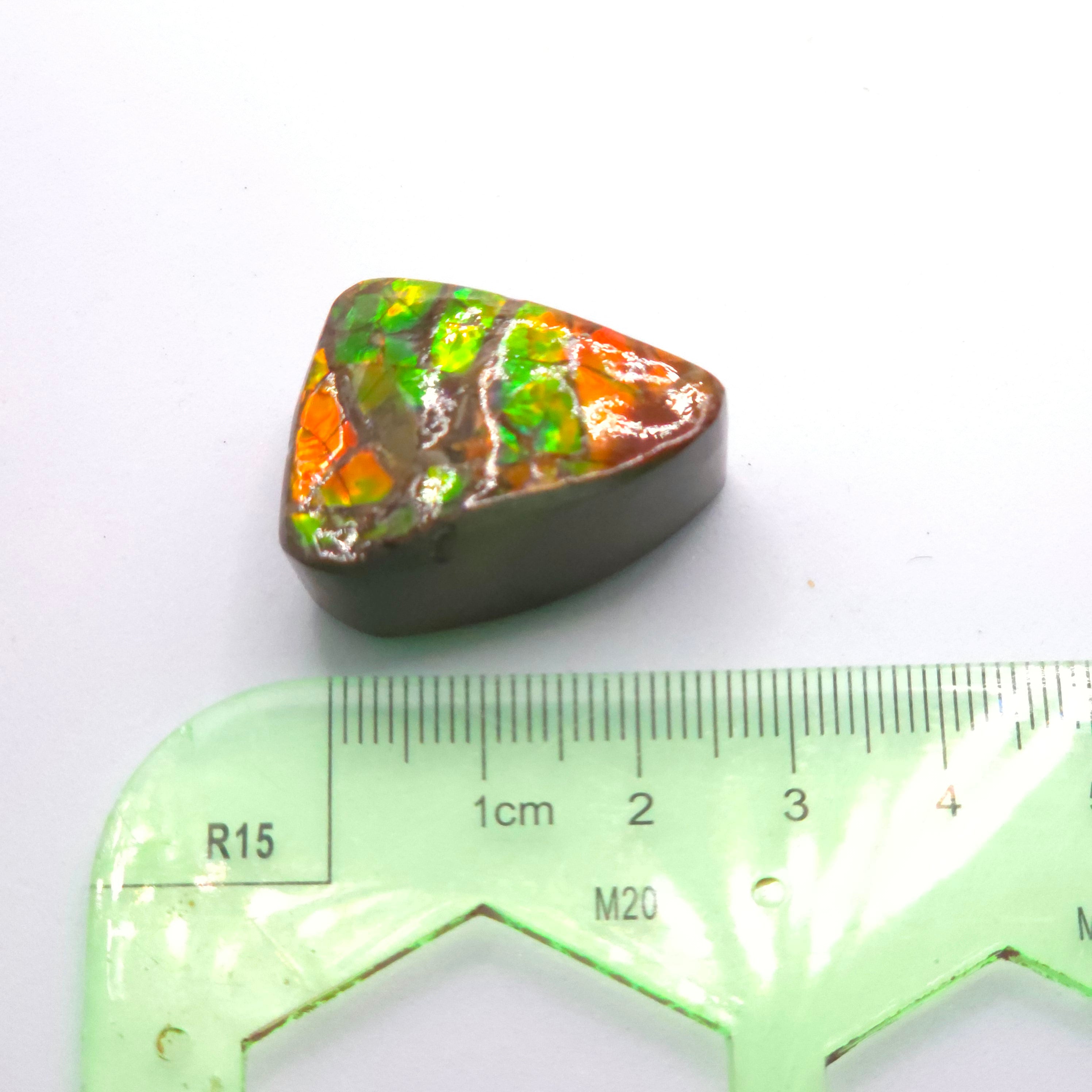 Freeform  Ammolite Gemstone