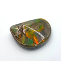 Freeform  Ammolite Gemstone