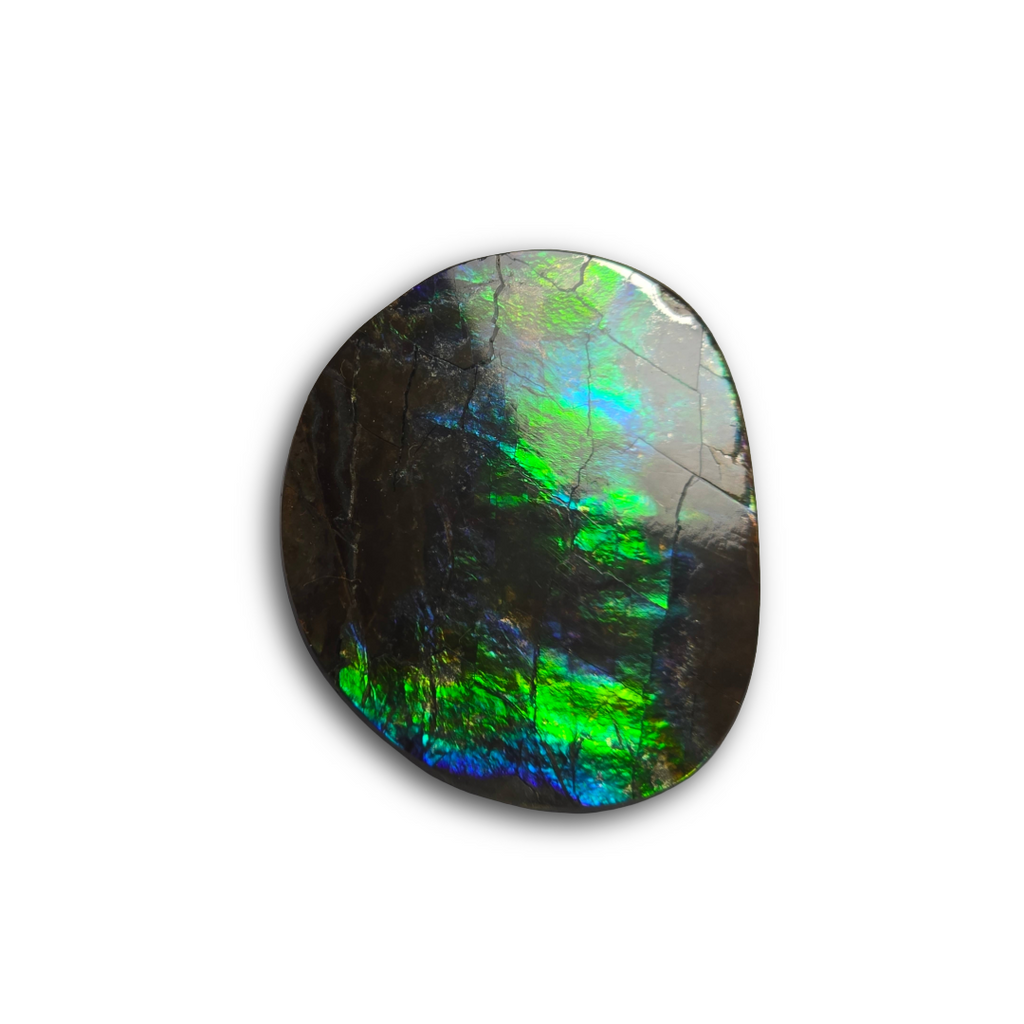 NATURAL AMMOLITE FREEFORM