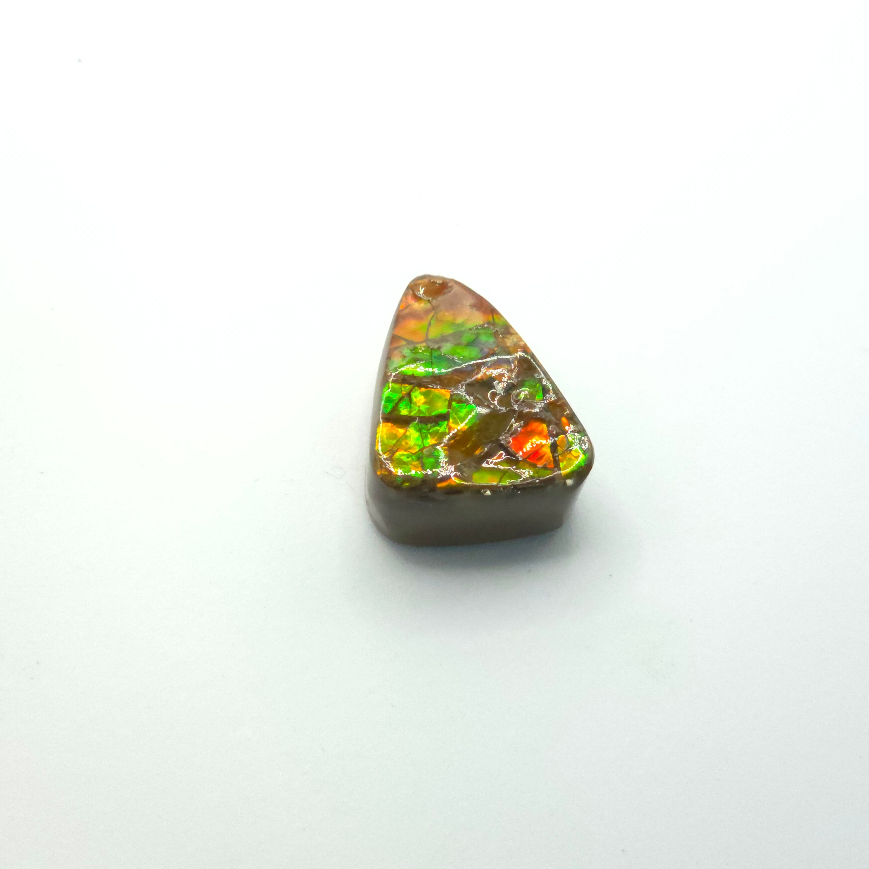 Freeform  Ammolite Gemstone