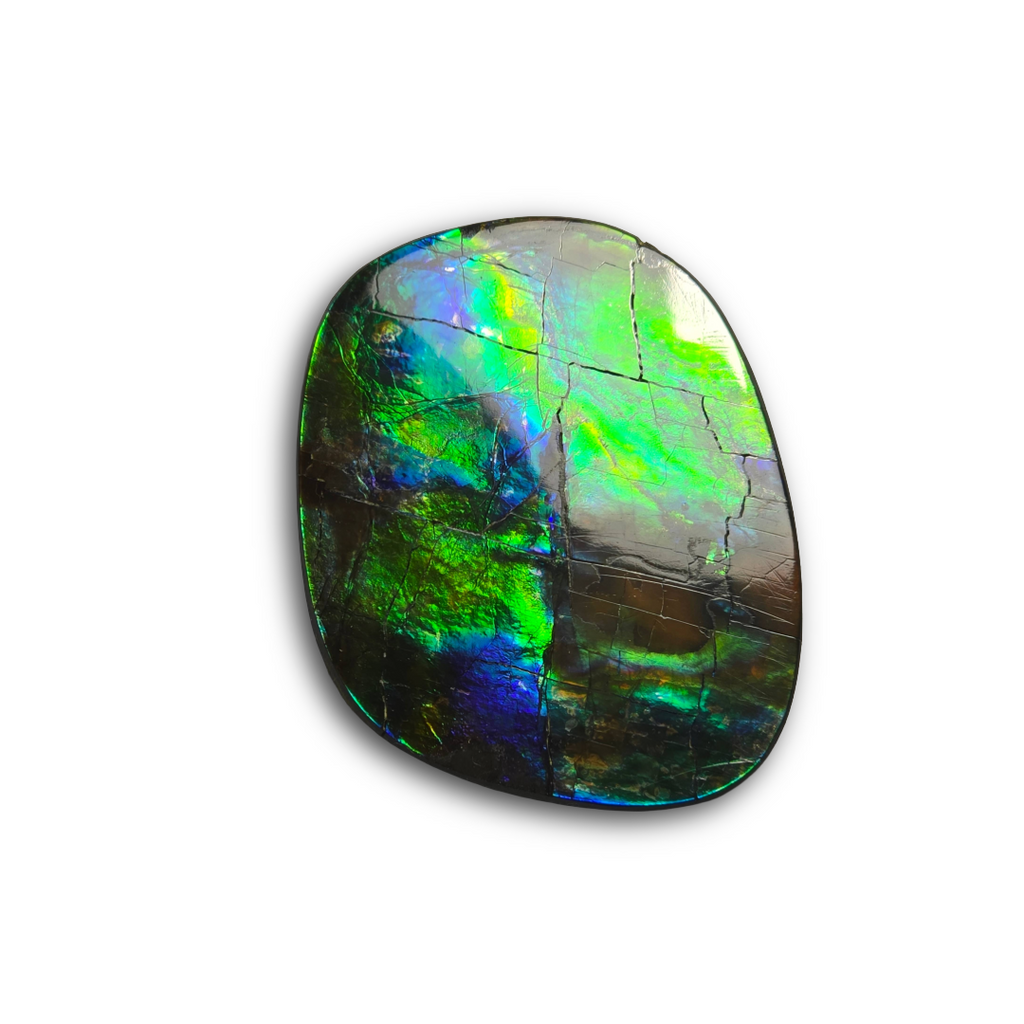 NATURAL AMMOLITE FREEFORM
