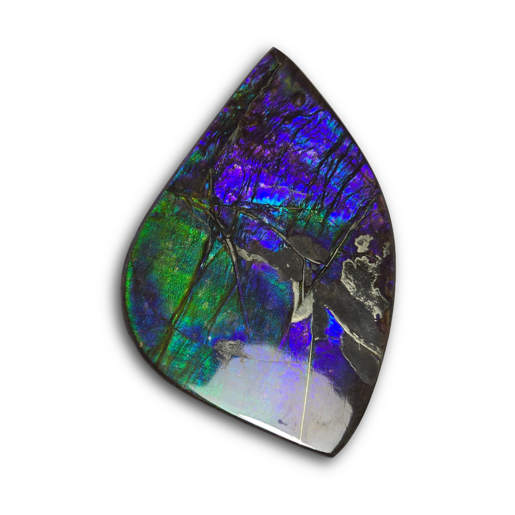 NATURAL AMMOLITE FREEFORM