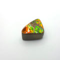 Freeform  Ammolite Gemstone