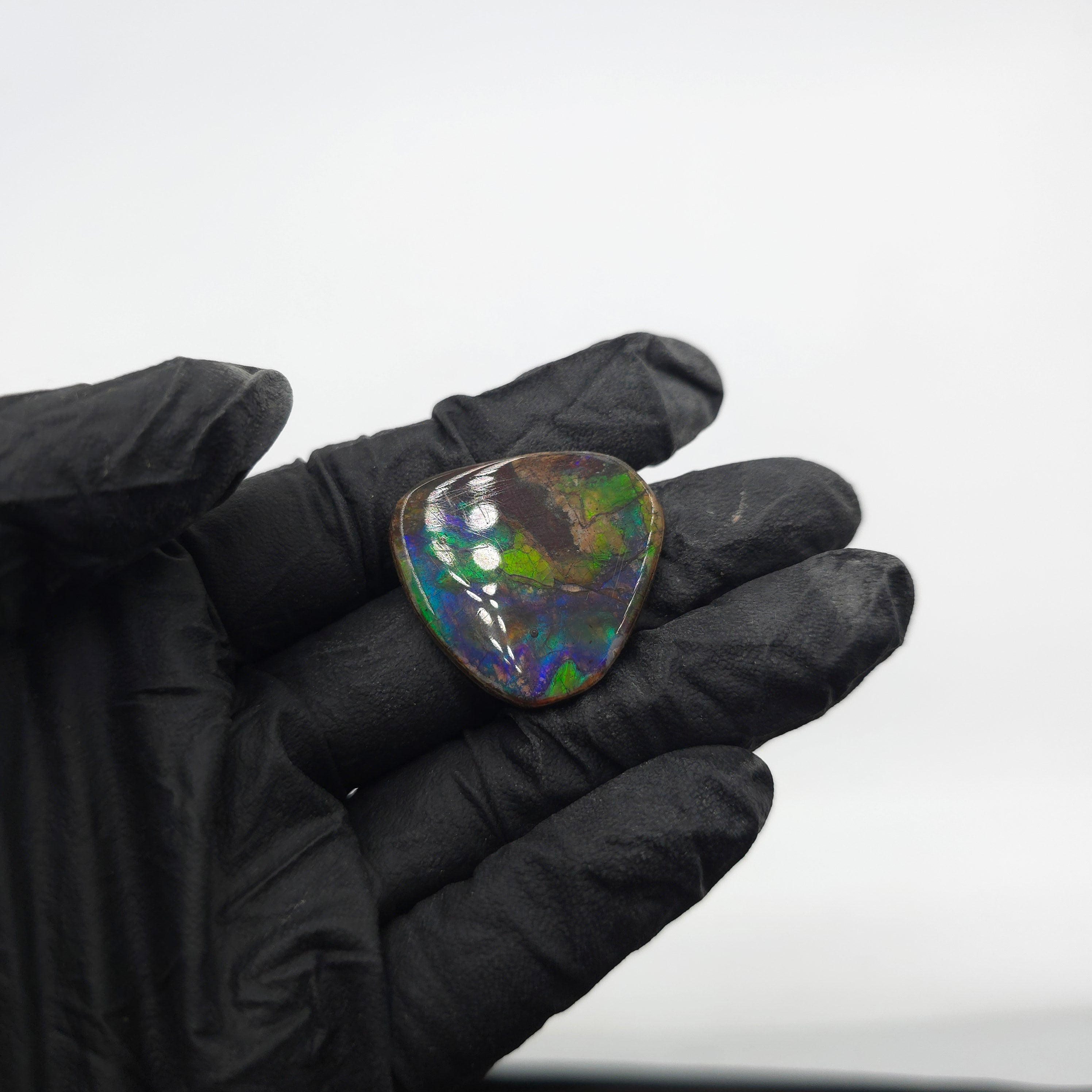 COATED AMMOLITE FREEFORM