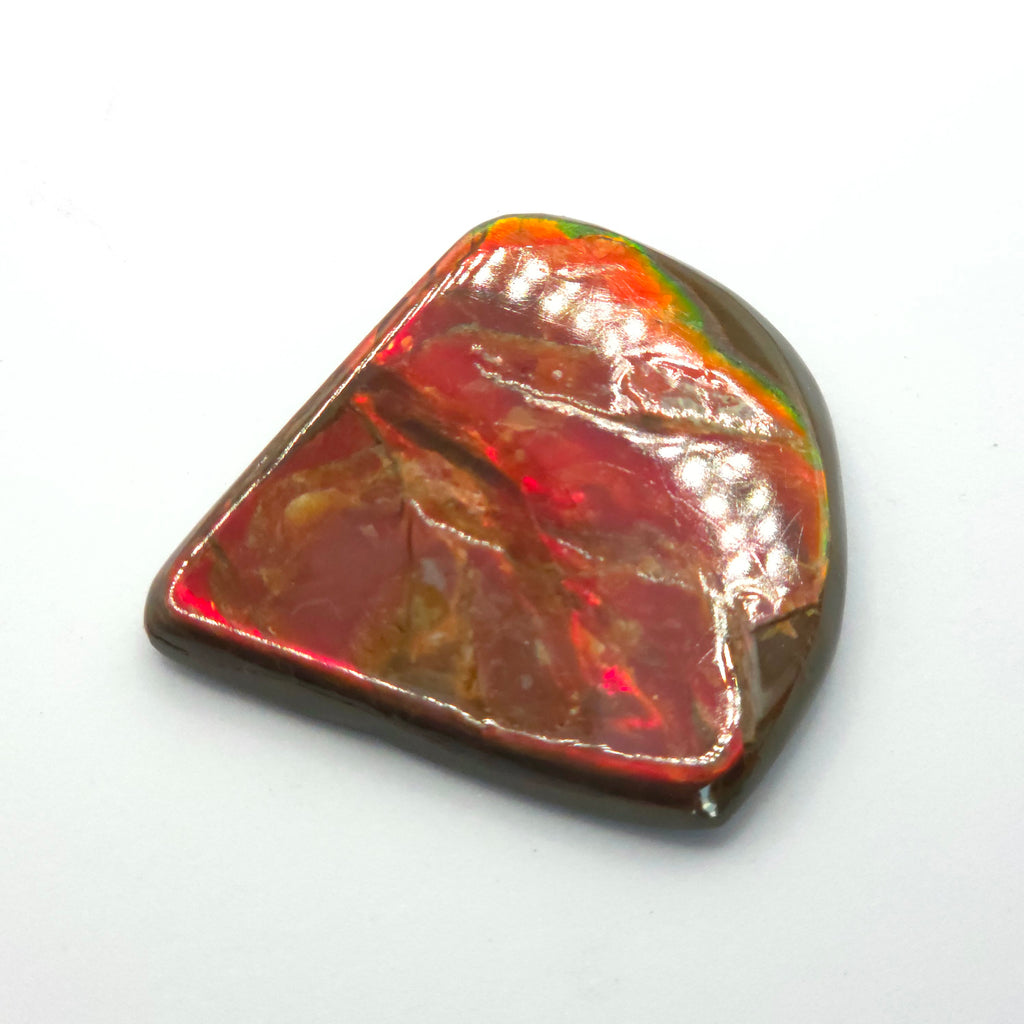 Freeform  Ammolite Gemstone