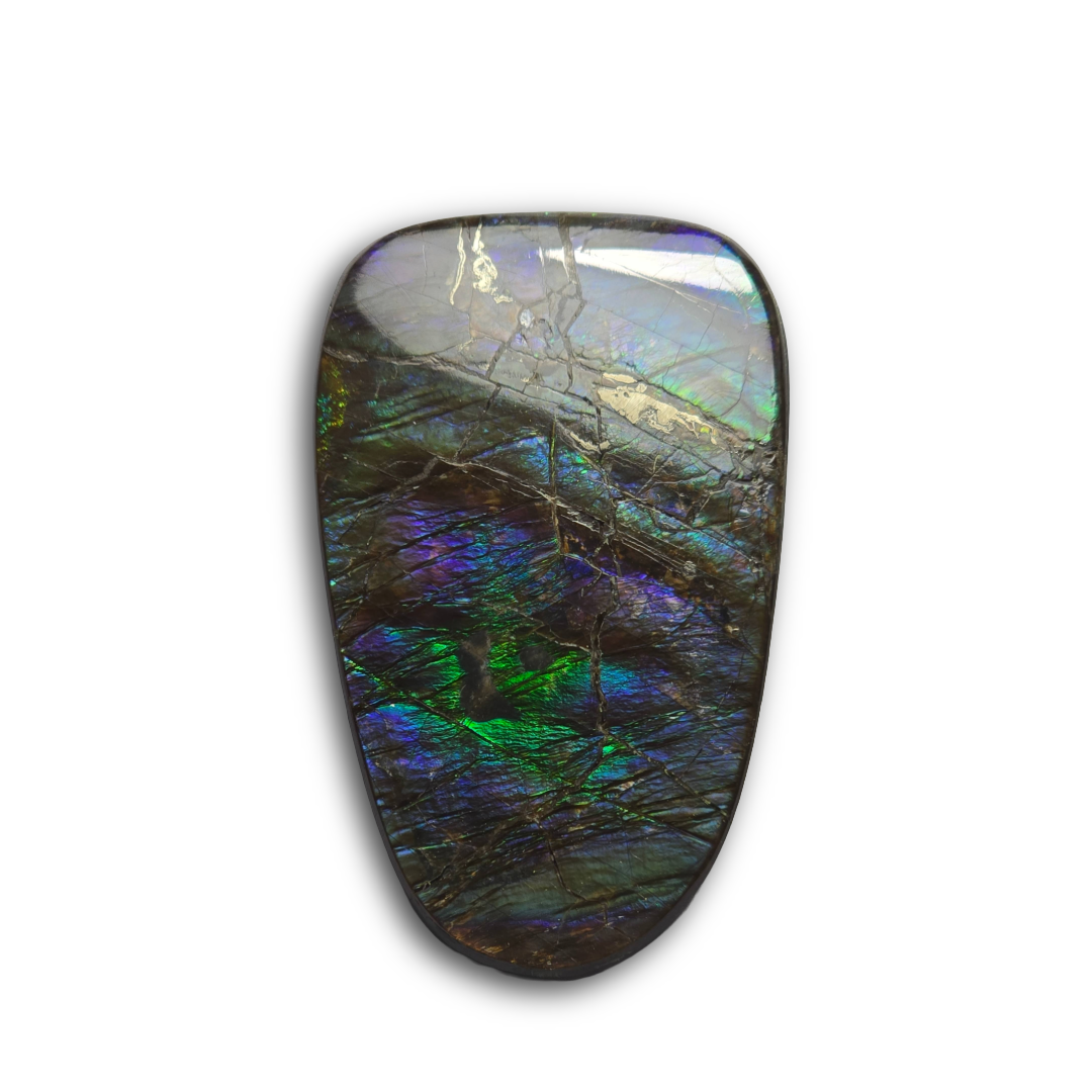 NATURAL AMMOLITE FREEFORM