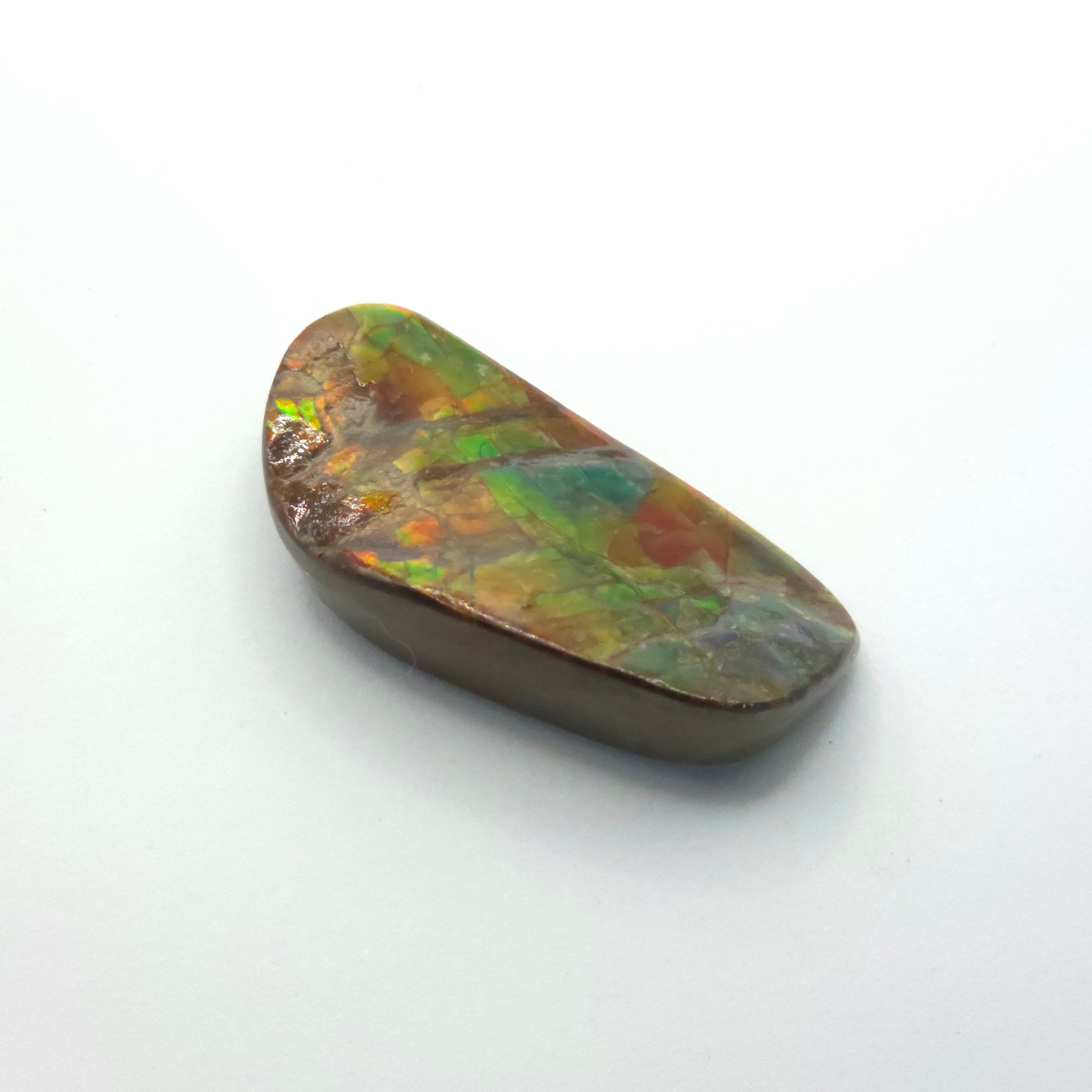 Freeform  Ammolite Gemstone