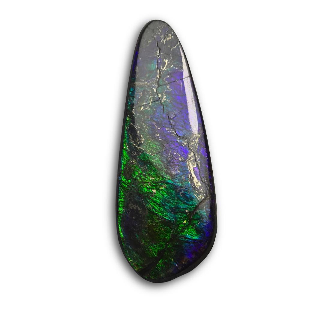 NATURAL AMMOLITE FREEFORM