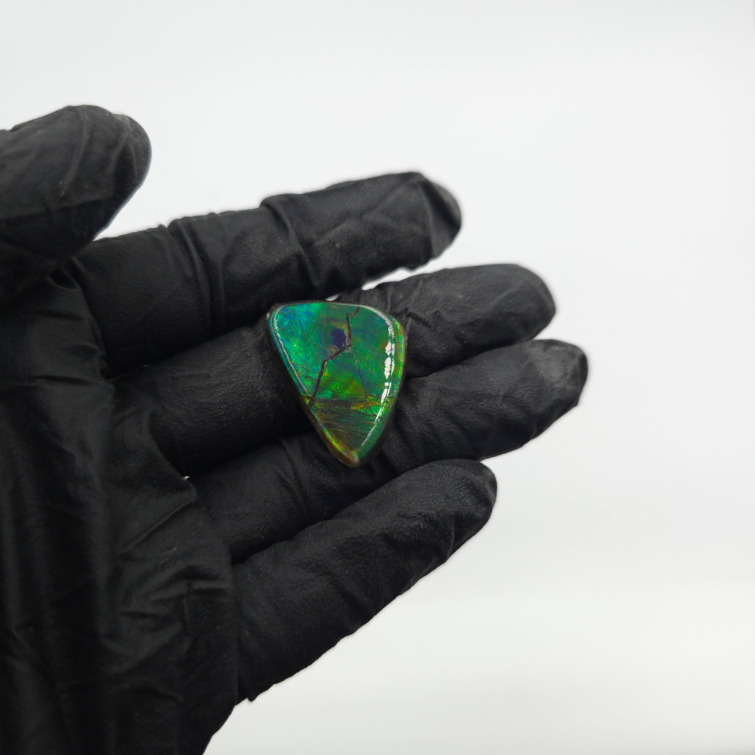 COATED AMMOLITE FREEFORM