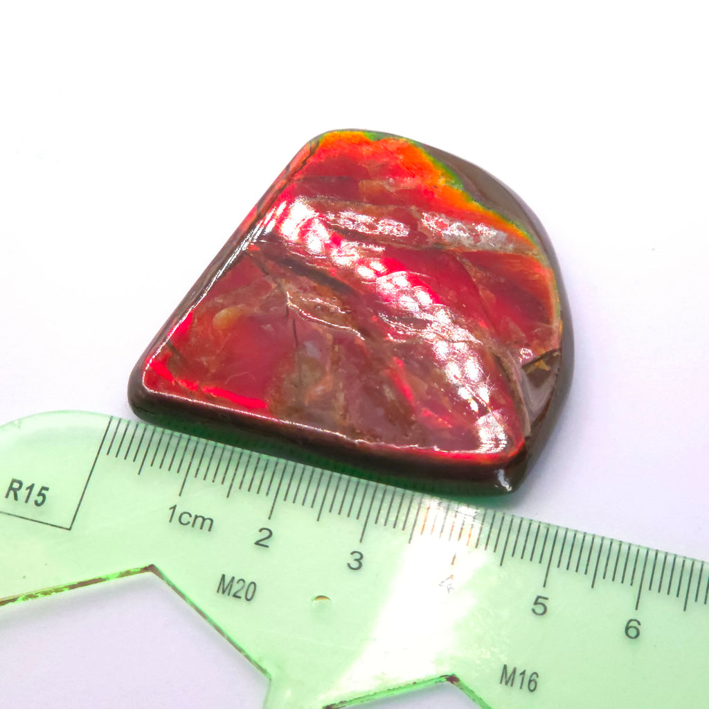 Freeform  Ammolite Gemstone