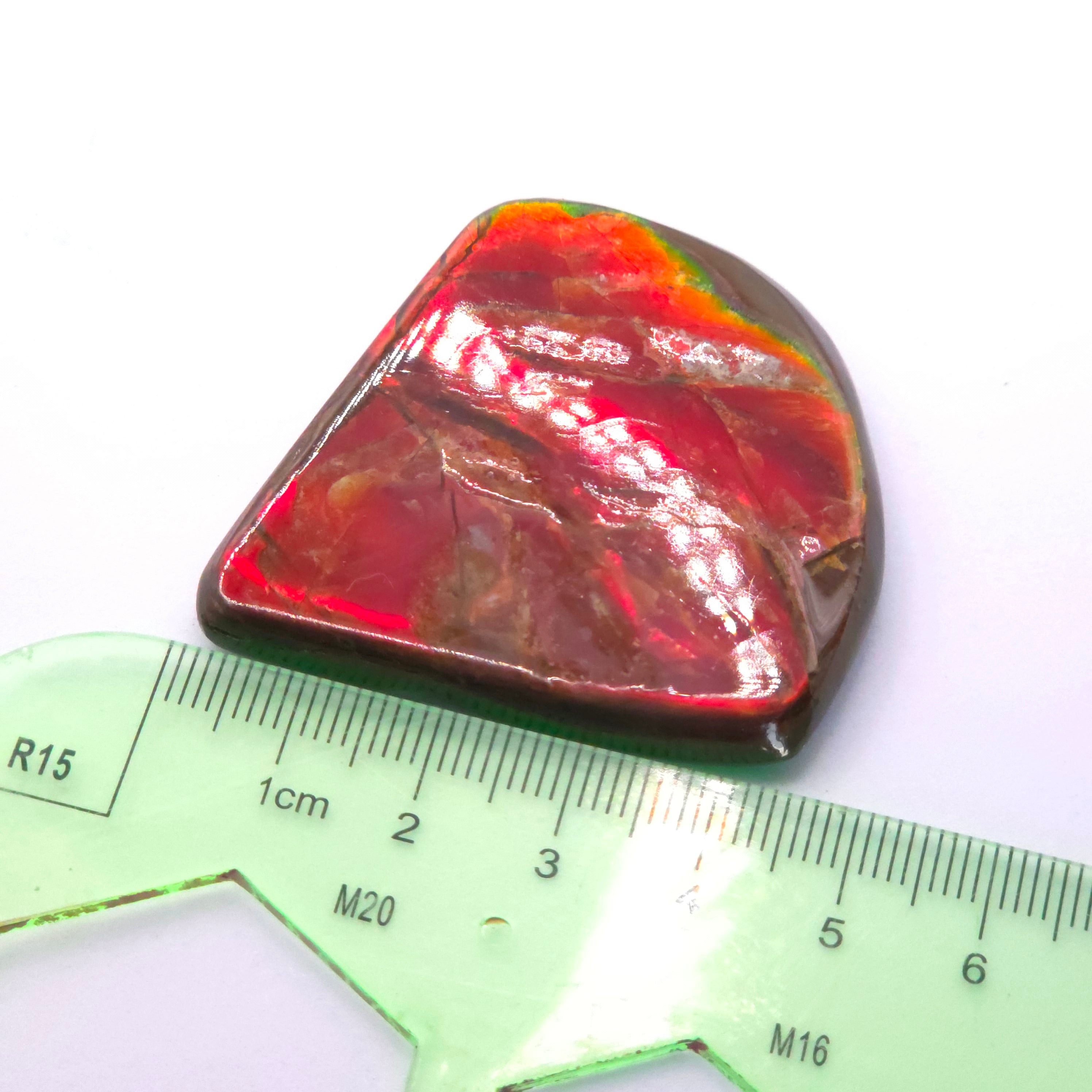 Freeform  Ammolite Gemstone