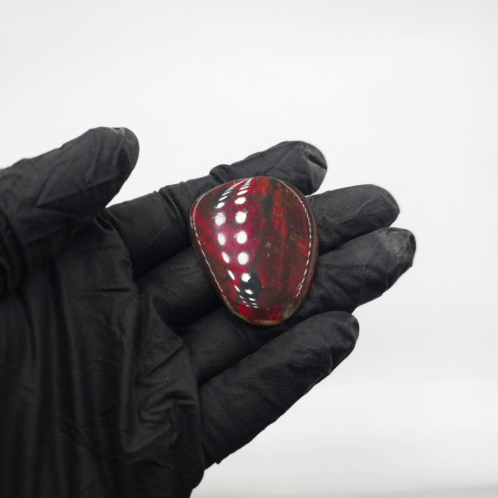 COATED AMMOLITE FREEFORM