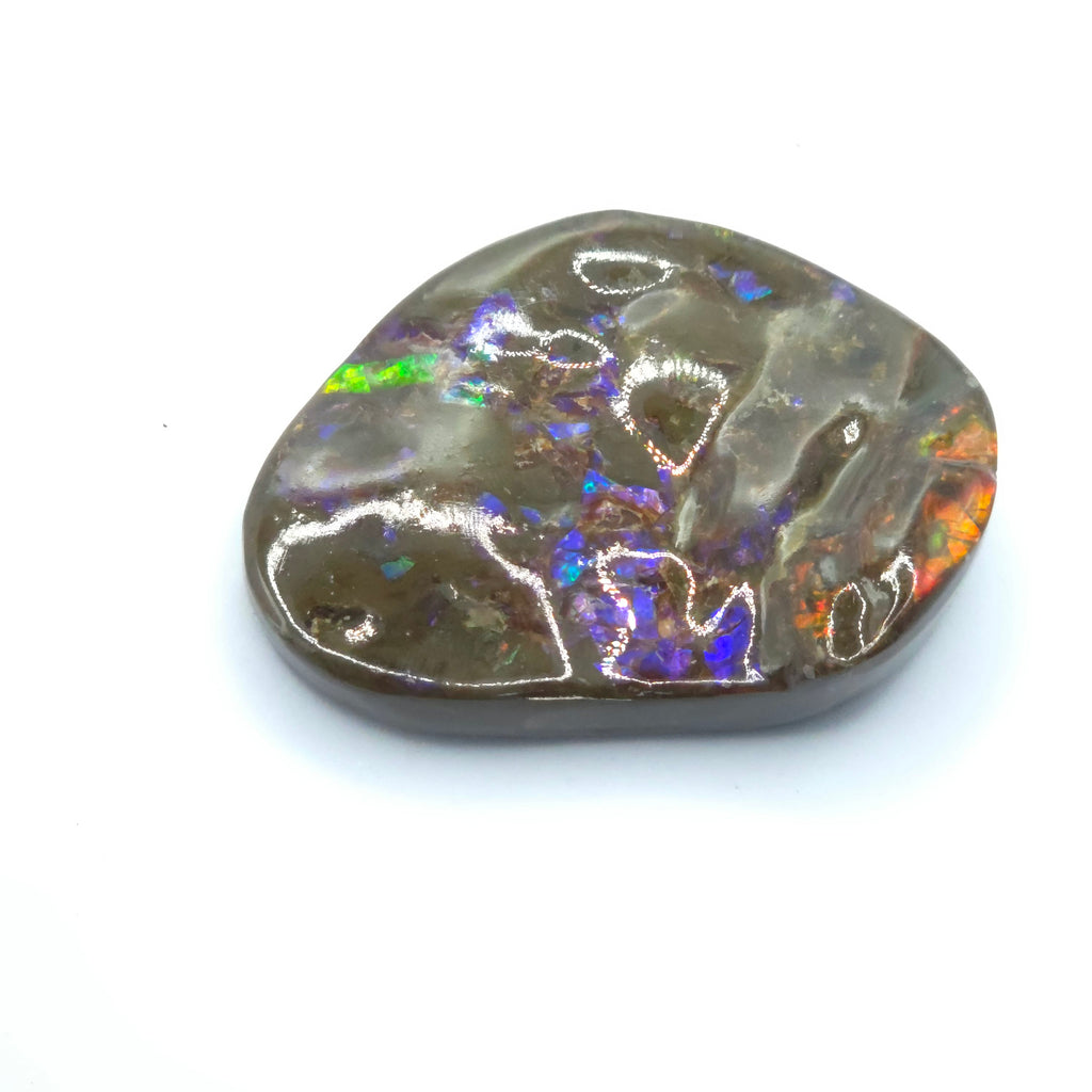 Freeform  Ammolite Gemstone