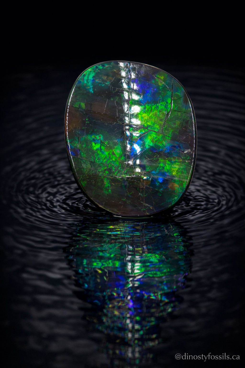 NATURAL AMMOLITE FREEFORM