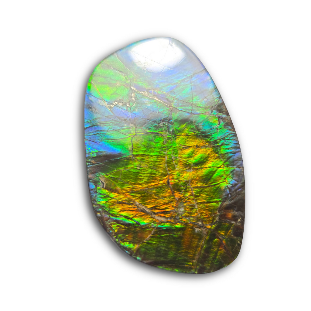 NATURAL AMMOLITE FREEFORM