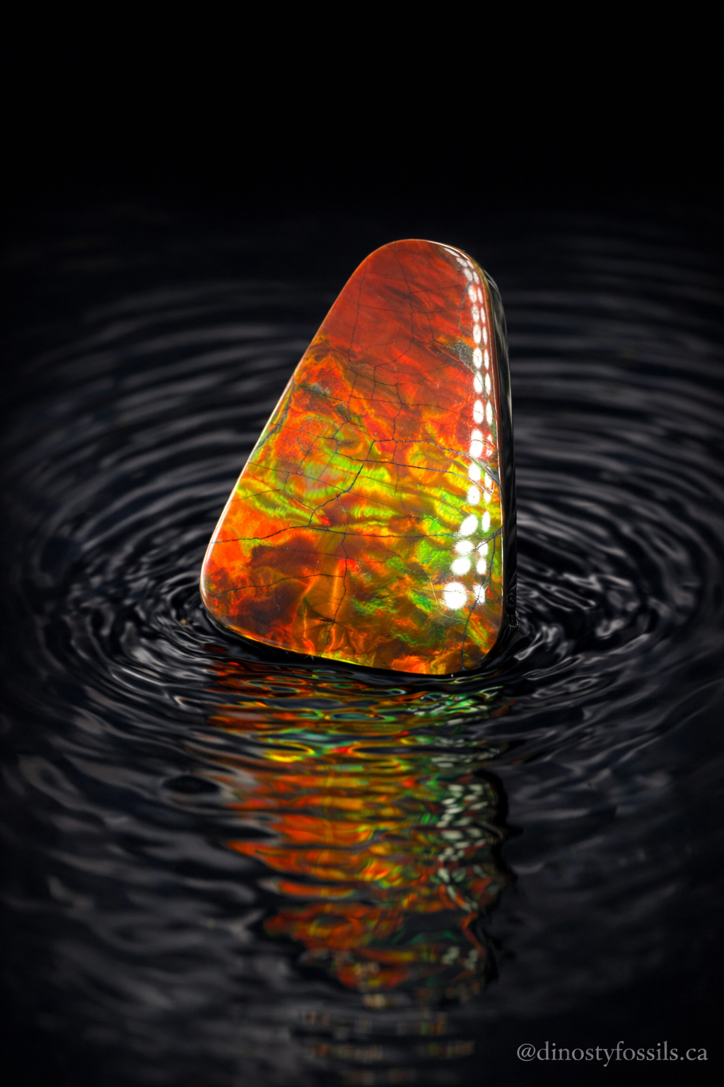 NATURAL AMMOLITE FREEFORM