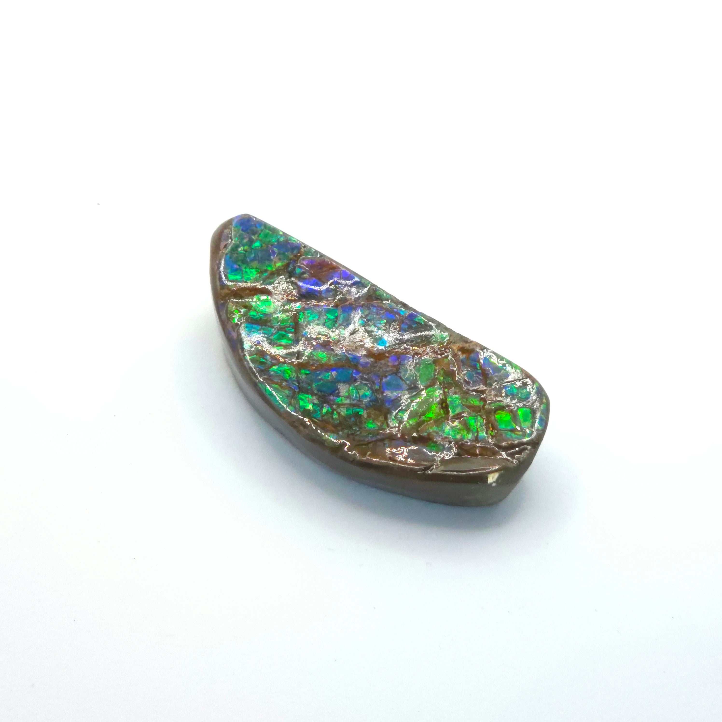 Freeform  Ammolite Gemstone