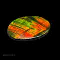NATURAL AMMOLITE FREEFORM