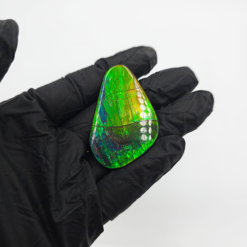 NATURAL IMPERIAL AMMOLITE FREEFORM