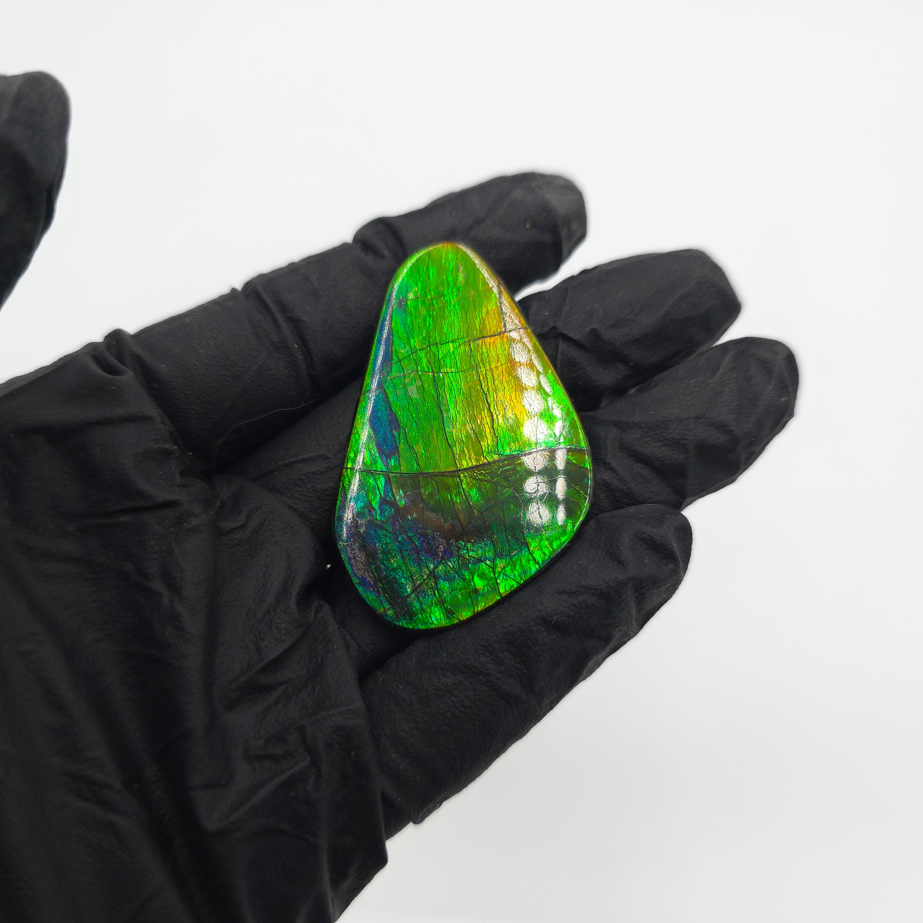 NATURAL IMPERIAL AMMOLITE FREEFORM