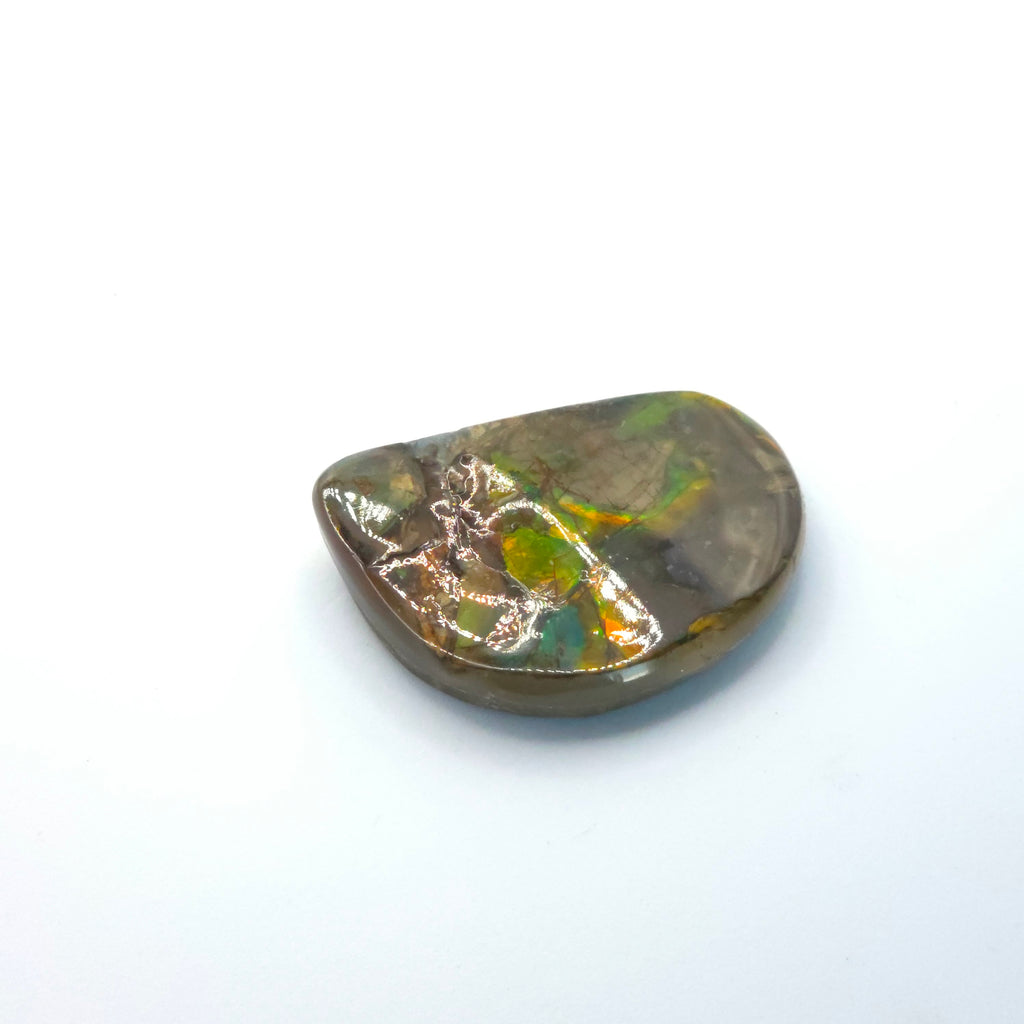 Freeform  Ammolite Gemstone