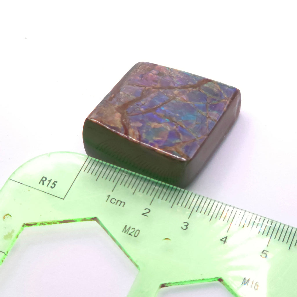 Freeform  Ammolite Gemstone