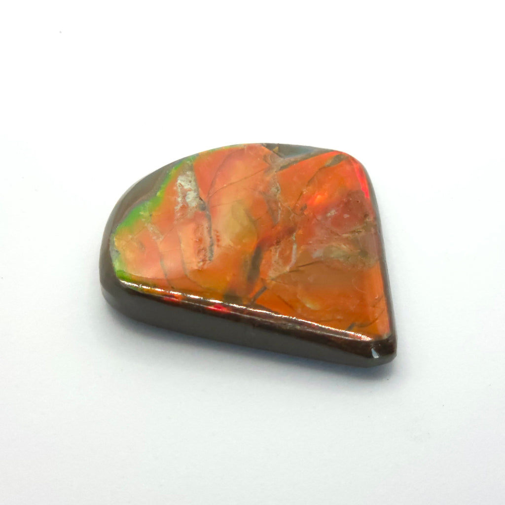Freeform  Ammolite Gemstone