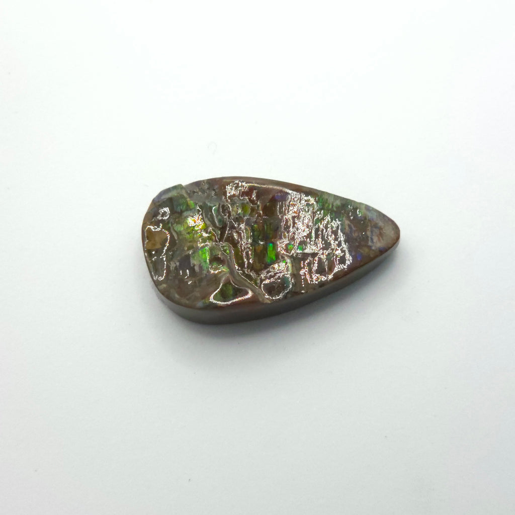 Freeform  Ammolite Gemstone