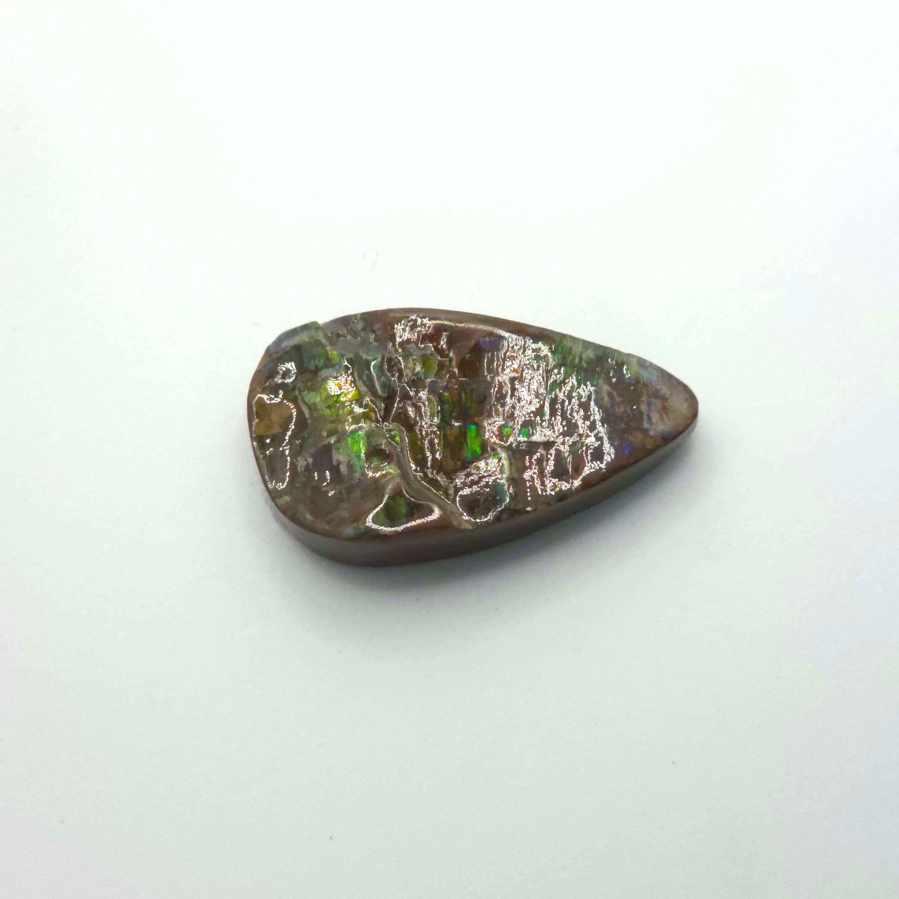 Freeform  Ammolite Gemstone