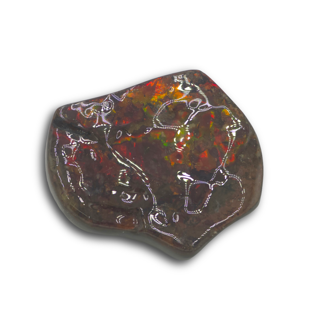 AMMOLITE HAND SAMPLE