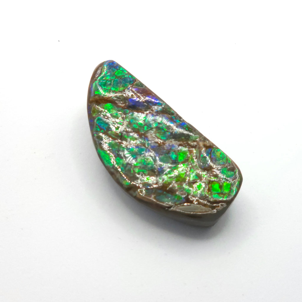 Freeform  Ammolite Gemstone