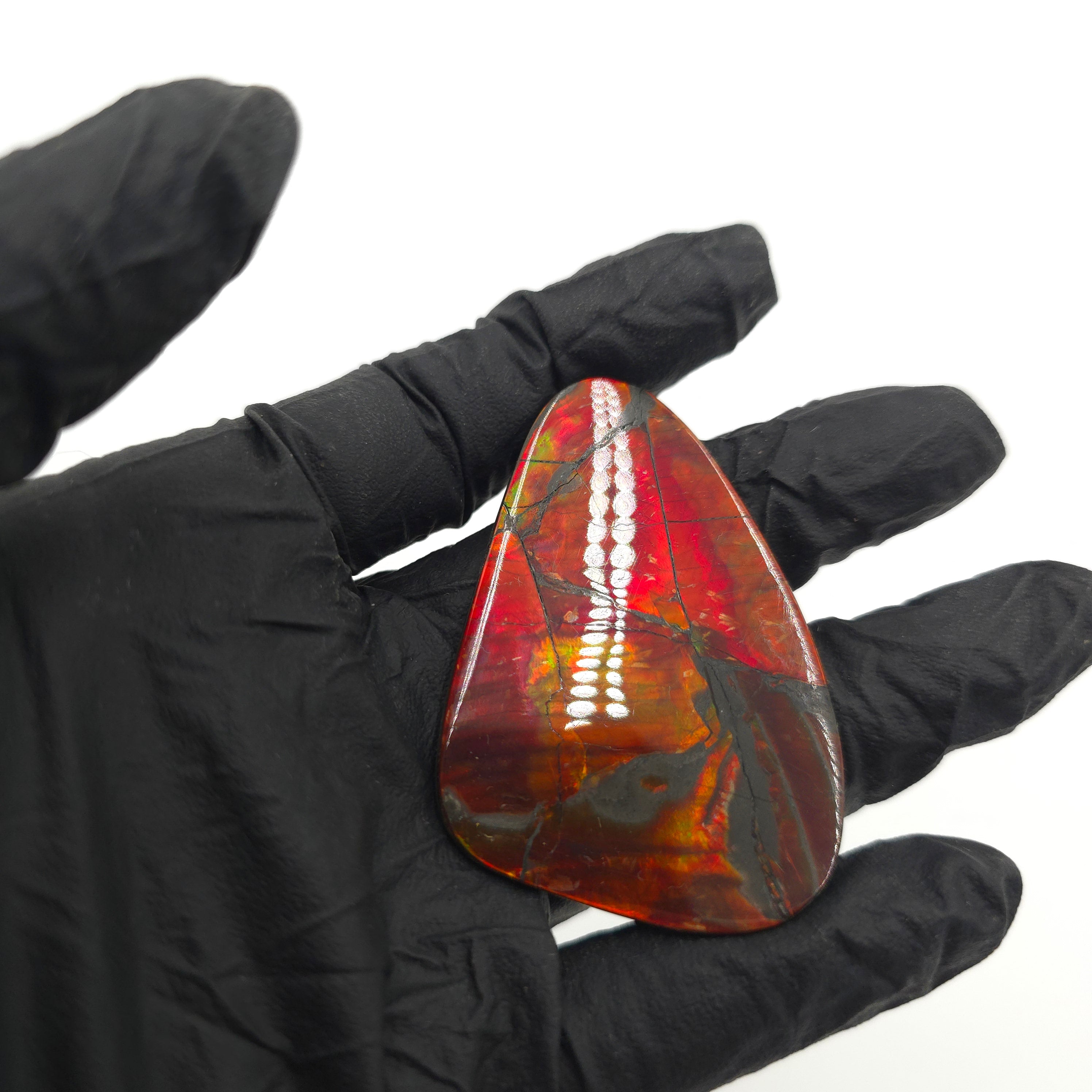 NATURAL AMMOLITE FREEFORM