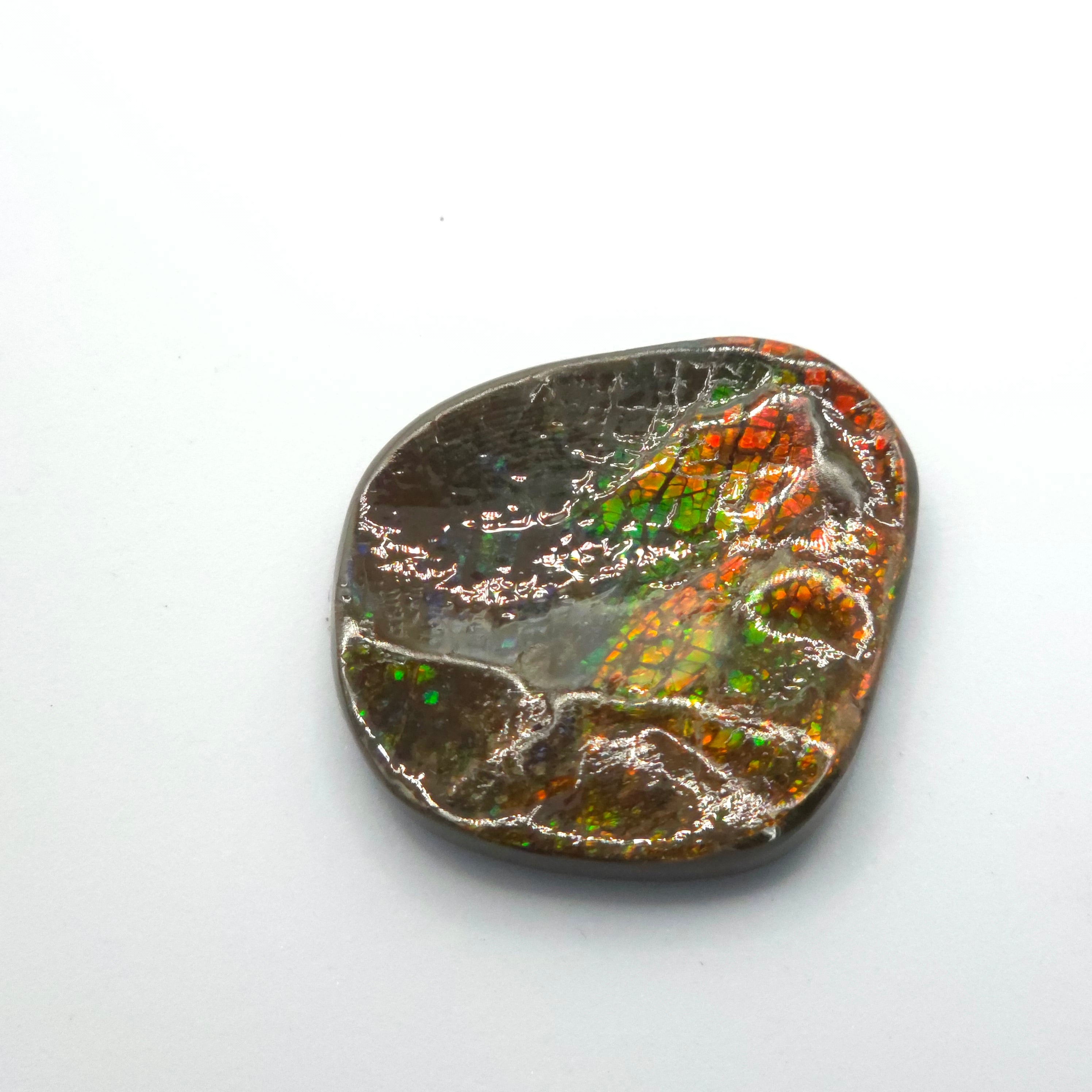 Freeform  Ammolite Gemstone