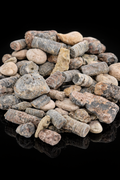 Ocean Fossil Mix