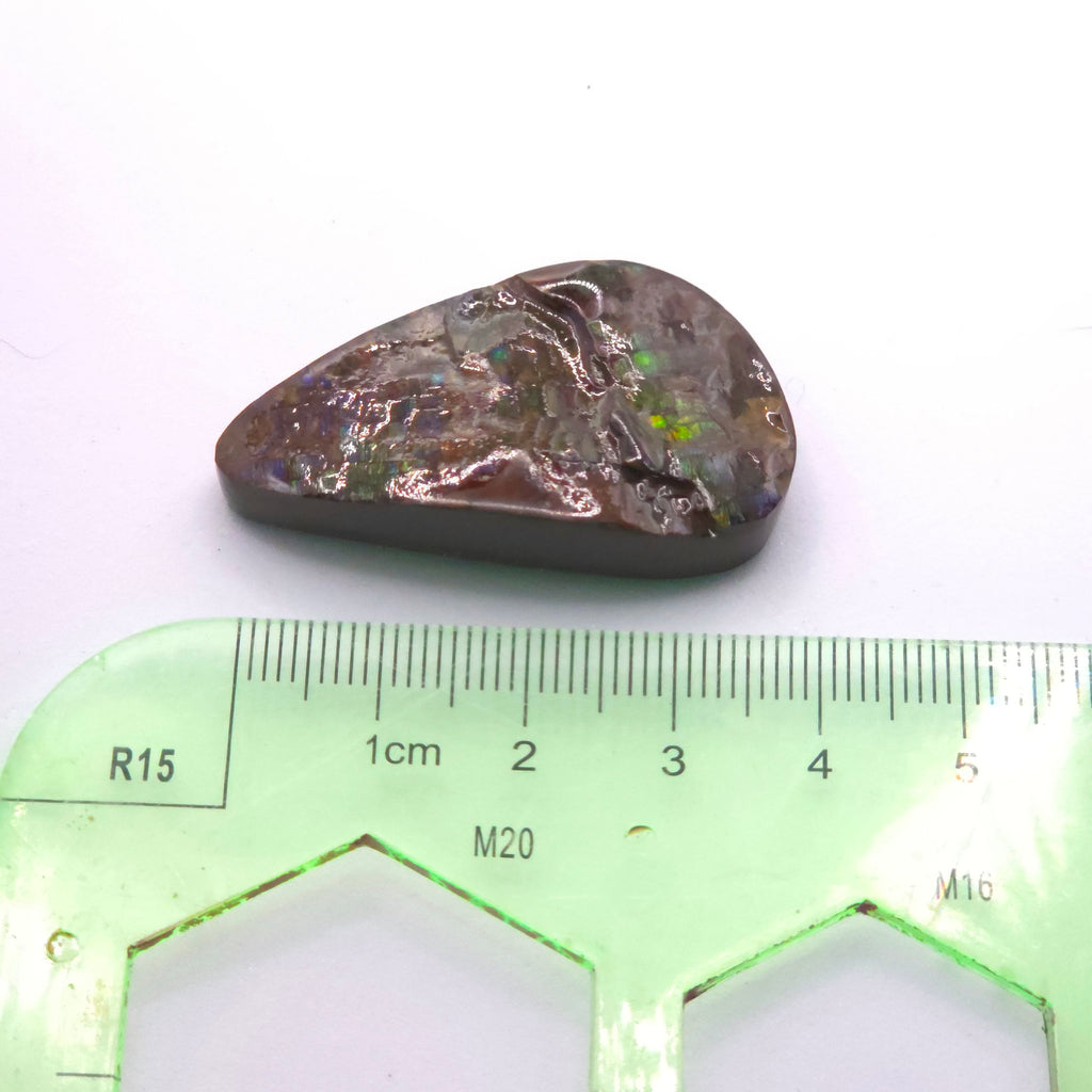 Freeform  Ammolite Gemstone