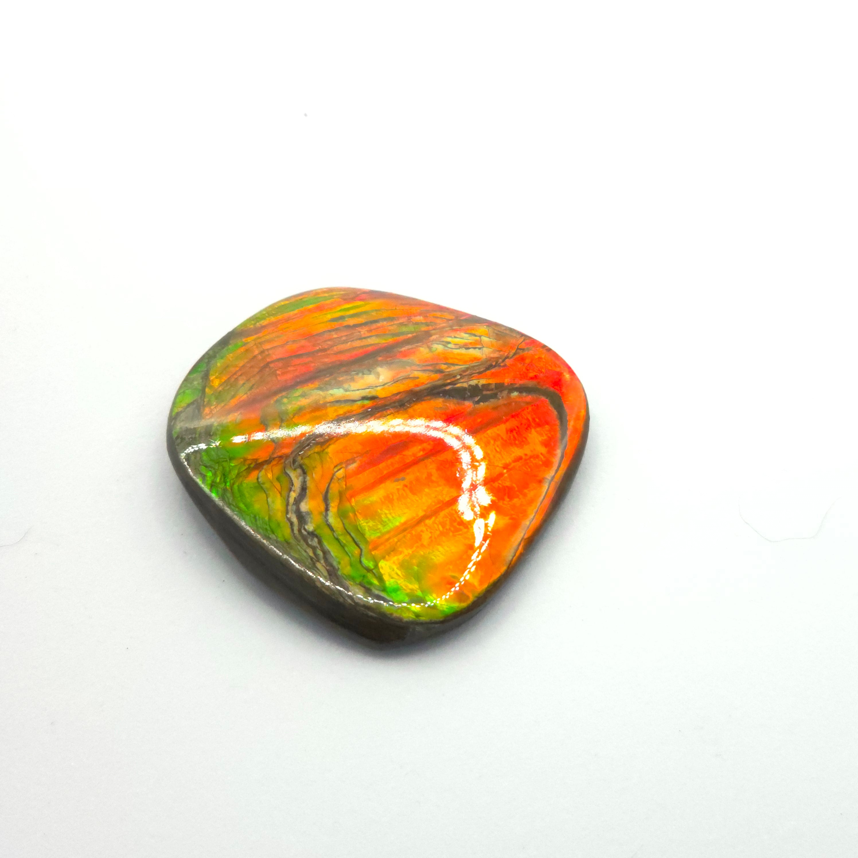 Freeform  Ammolite Gemstone