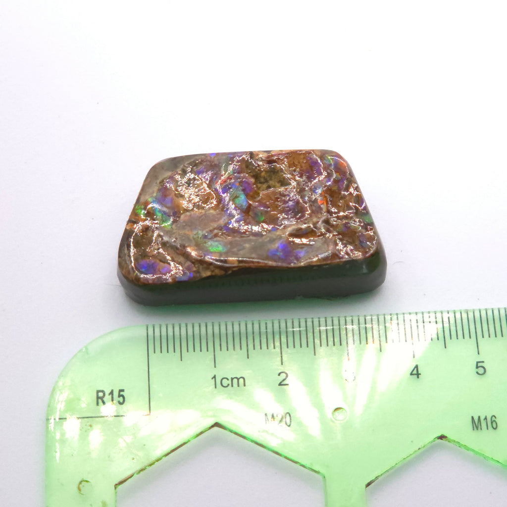 Freeform  Ammolite Gemstone