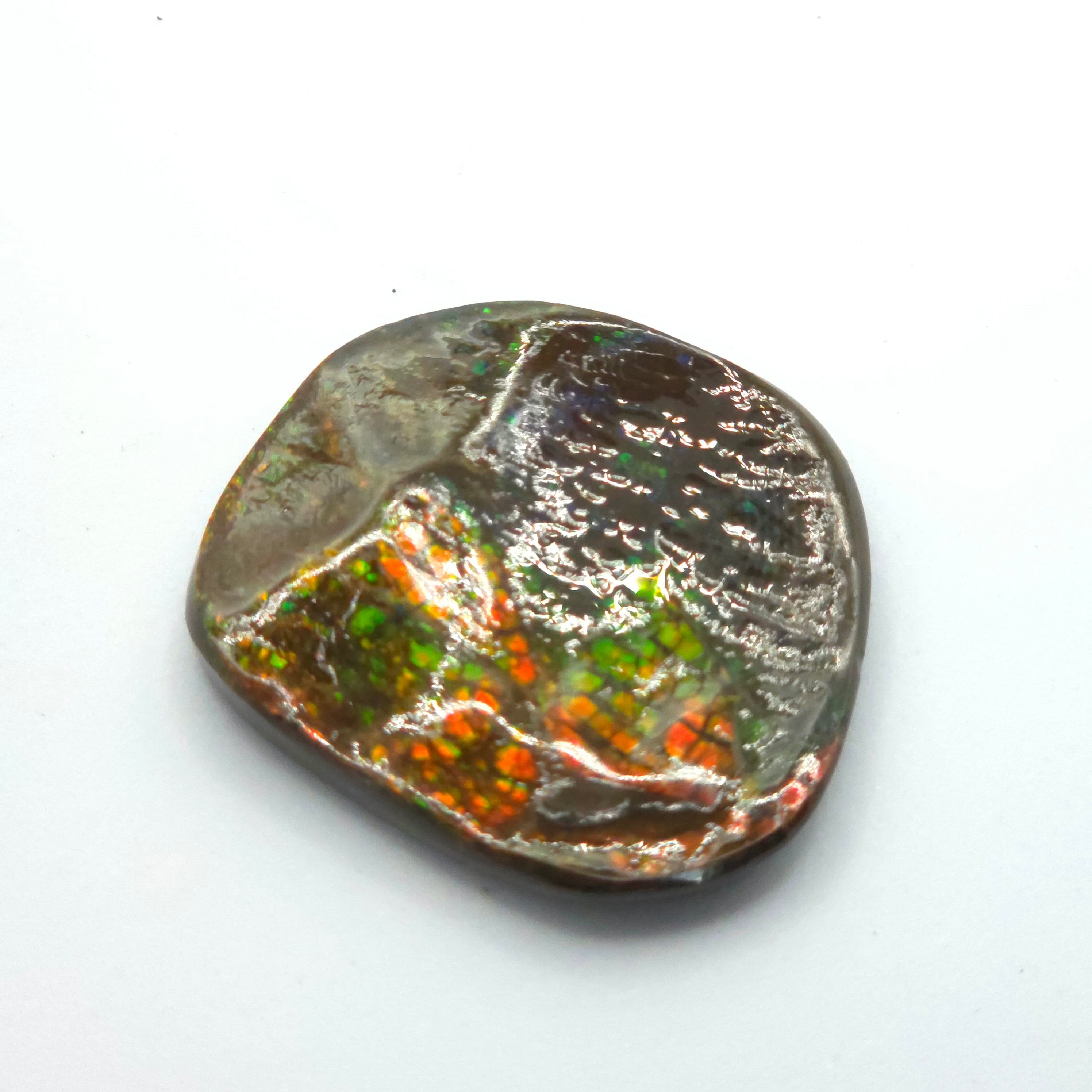 Freeform  Ammolite Gemstone