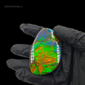 NATURAL AMMOLITE FREEFORM