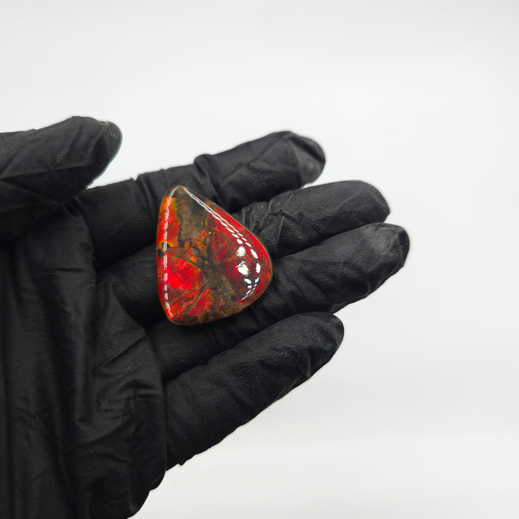 COATED AMMOLITE FREEFORM