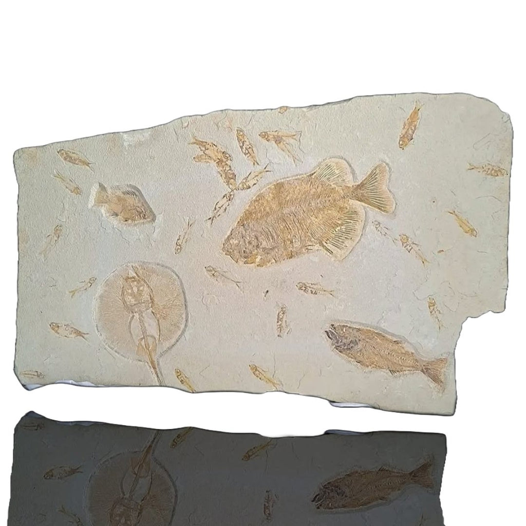 GREEN RIVER DEATH PLAQUE