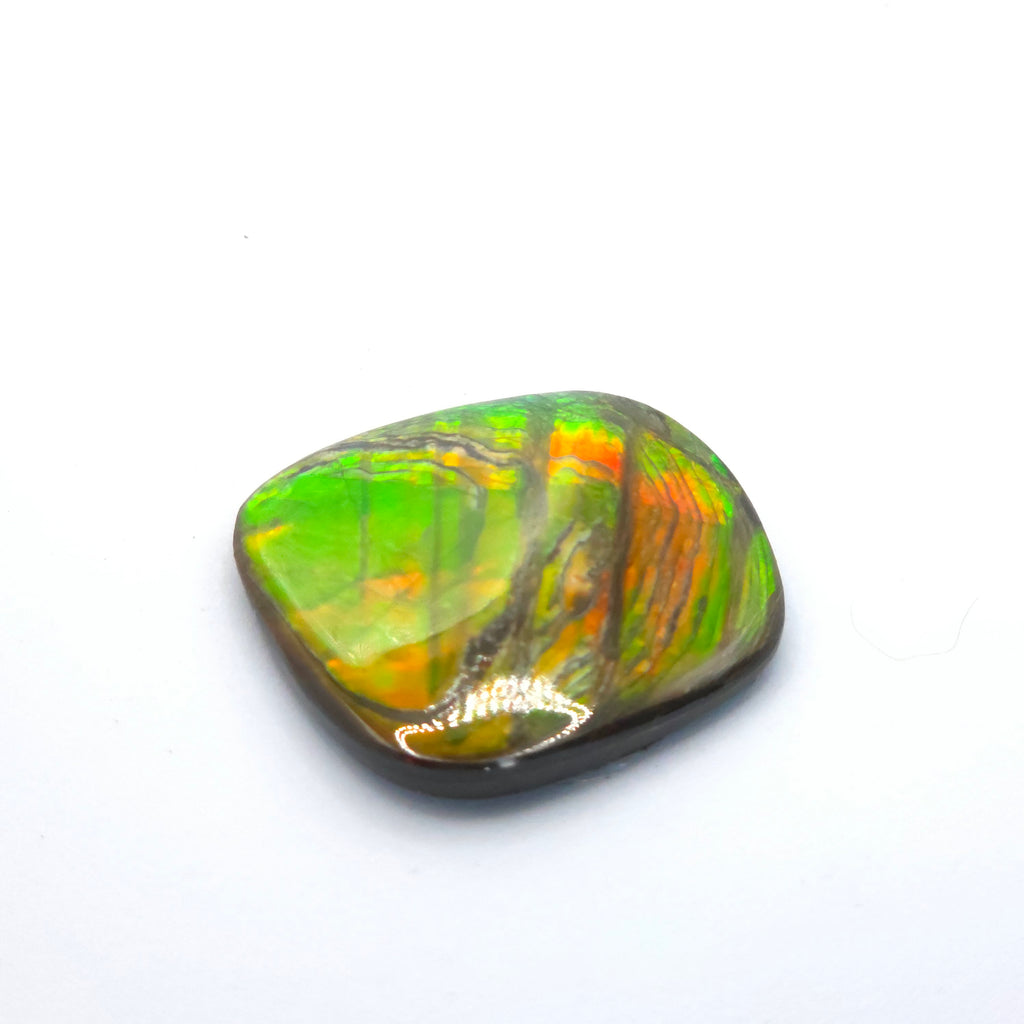 Freeform  Ammolite Gemstone