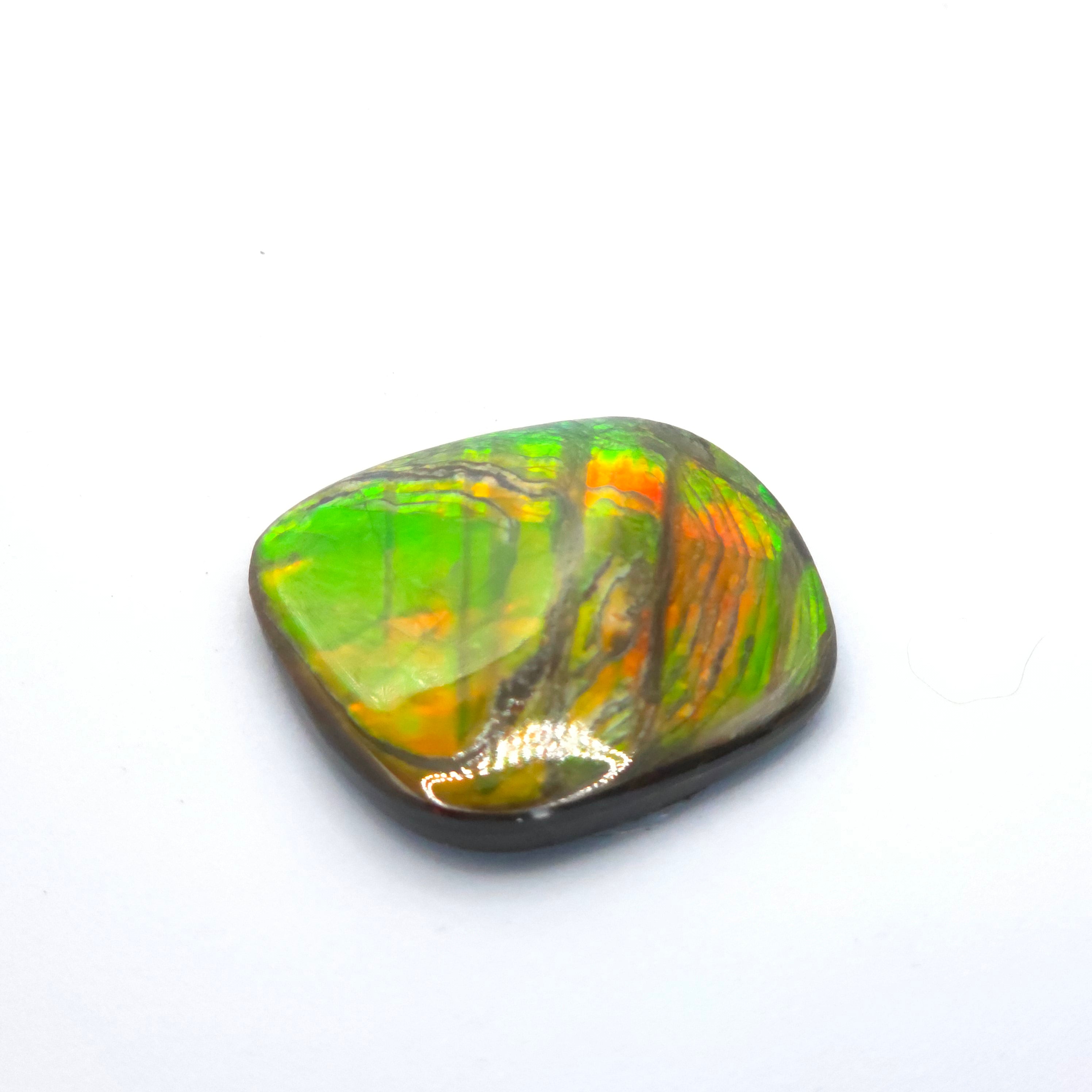 Freeform  Ammolite Gemstone