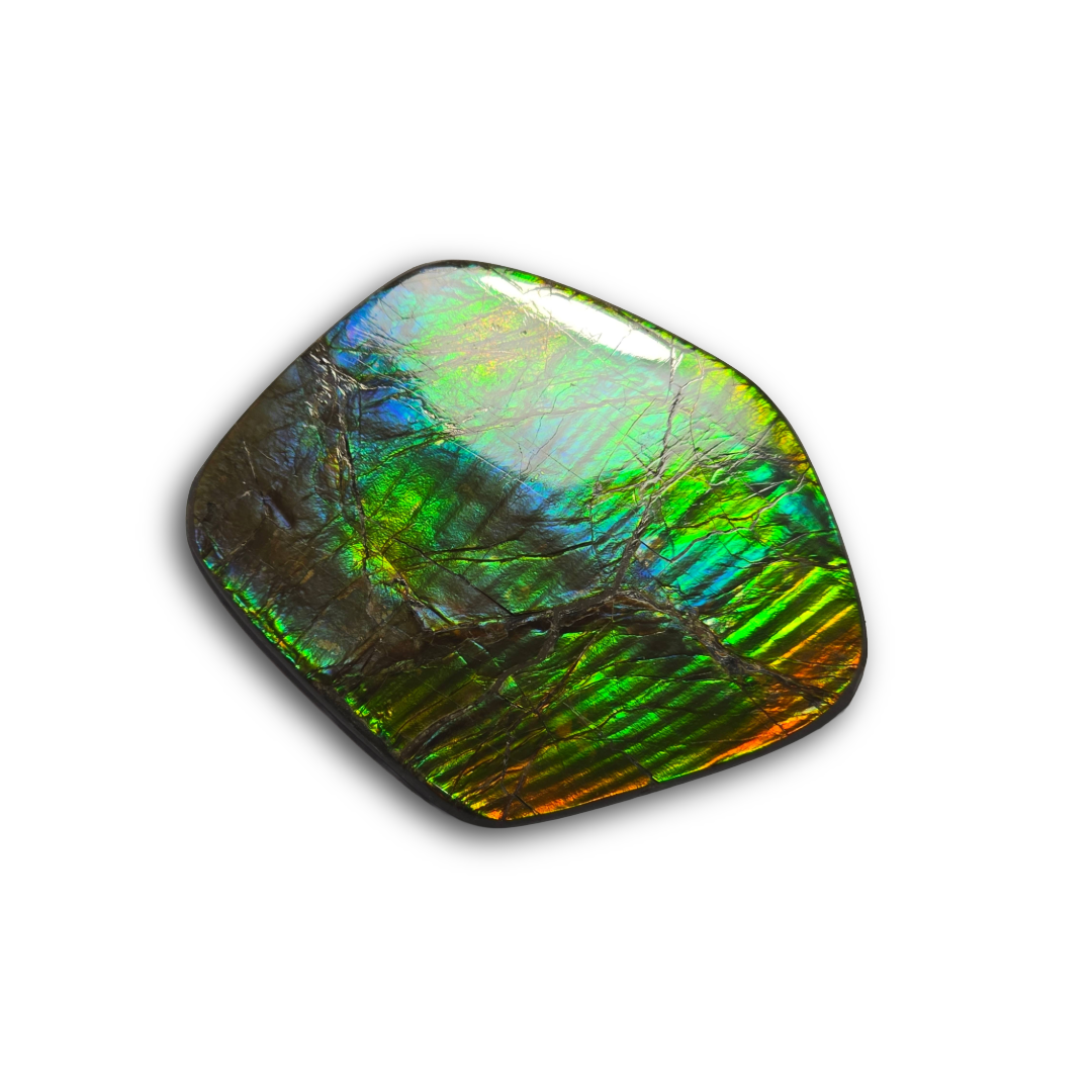 NATURAL AMMOLITE FREEFORM